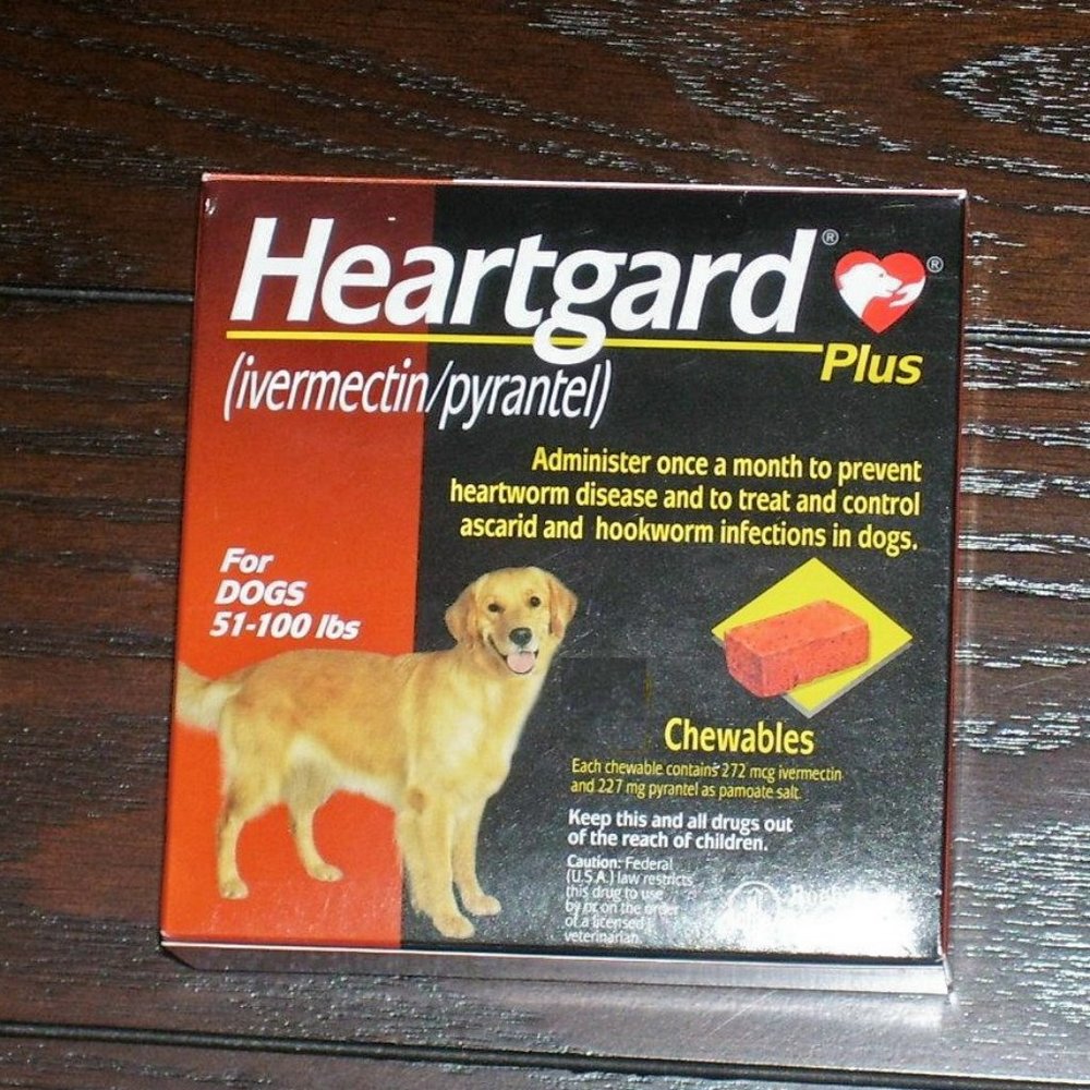 Large dog heartworm preventive 51-100lbs